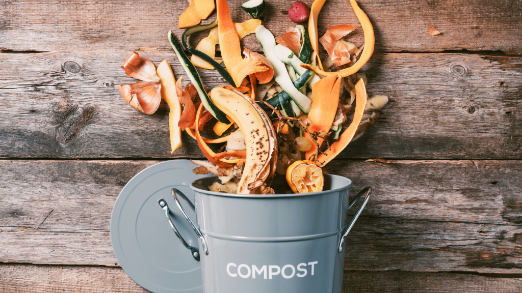 Compost casero, un paso para la economía circular